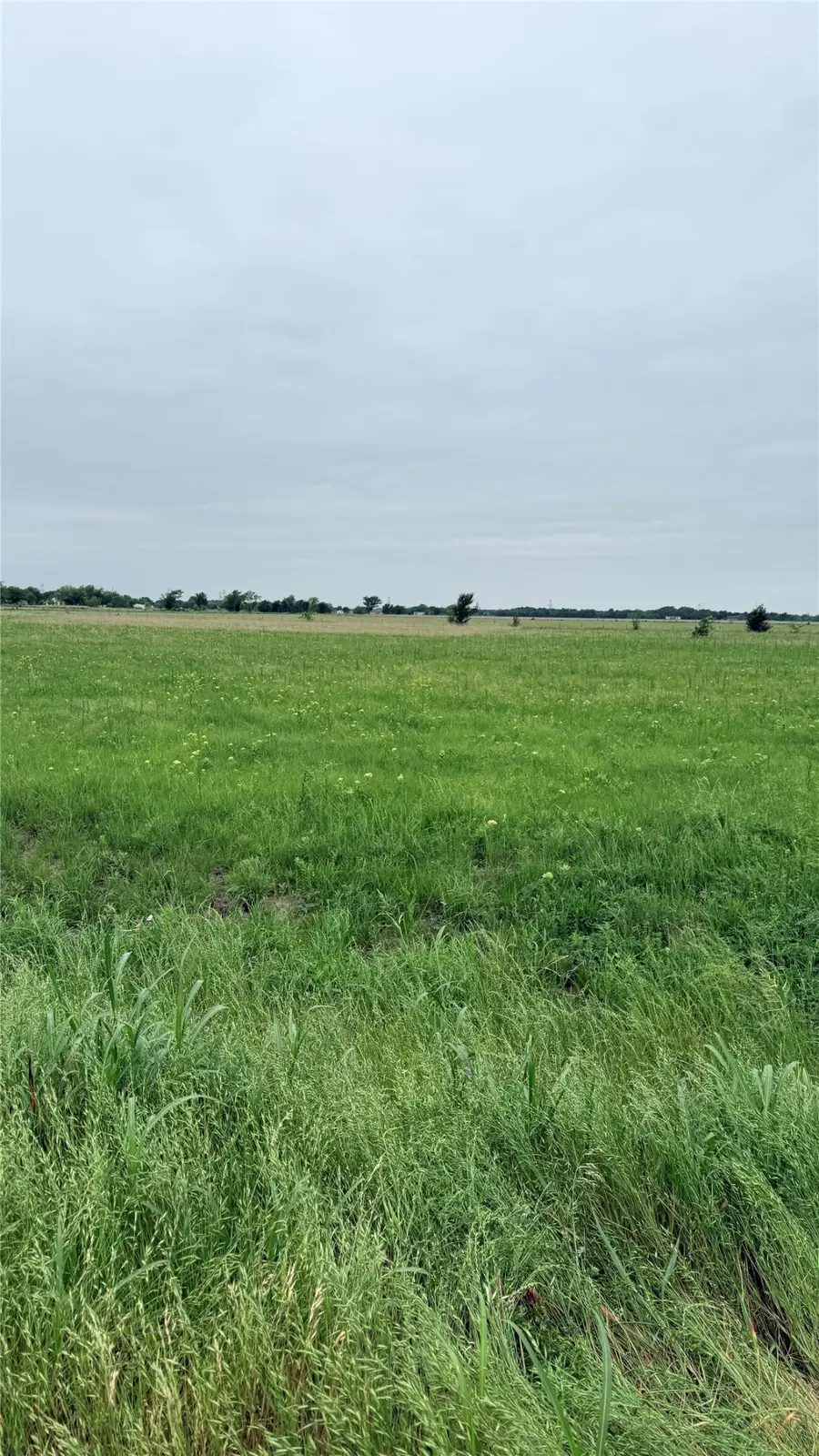FM 2613 Fm 2613, Kemp, TX 75143 - #2