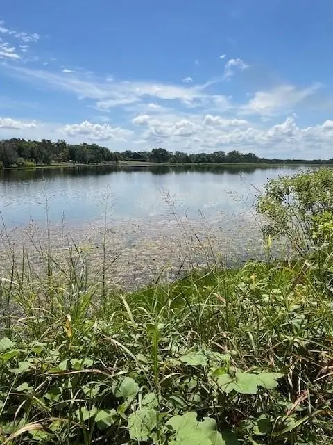 1065 Bluegill Ridge, Bluff Dale, TX 76433 - #1