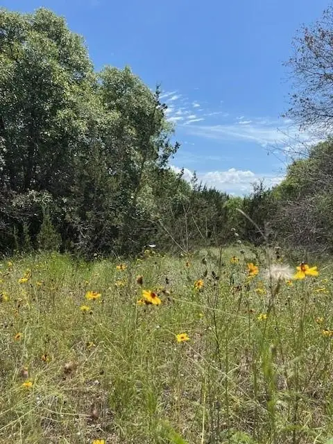 1065 Bluegill Ridge, Bluff Dale, TX 76433 - #2