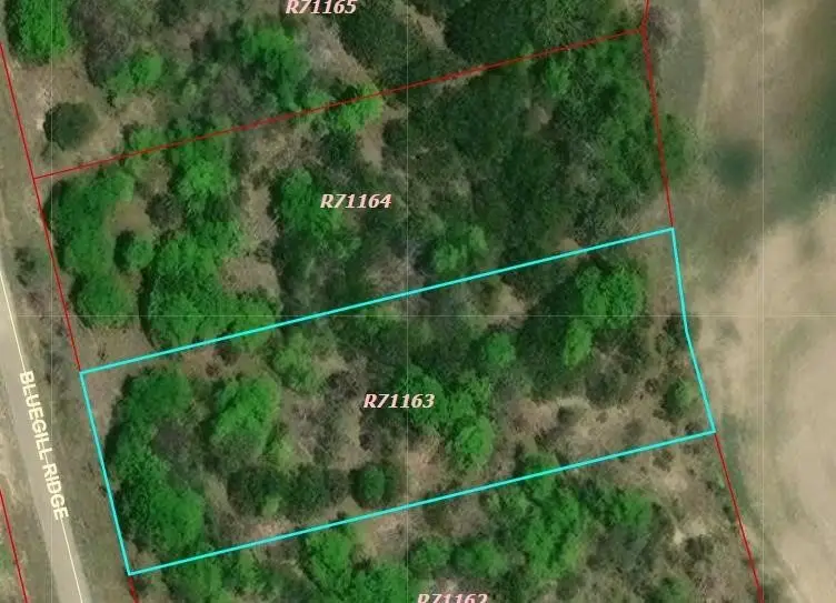 1065 Bluegill Ridge, Bluff Dale, TX 76433 - #3