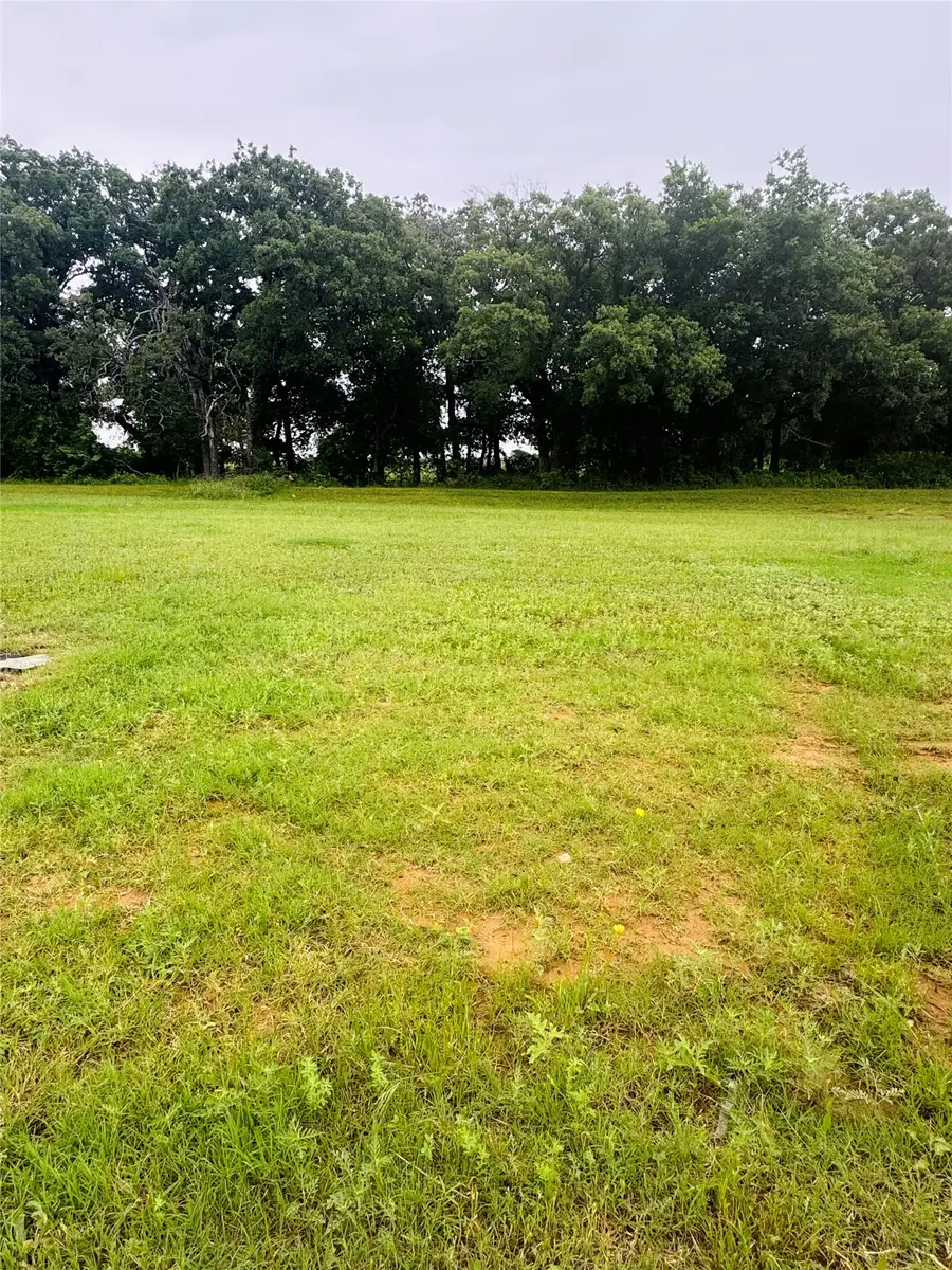105 Kylie Street, Cleburne, TX 76031 - #2
