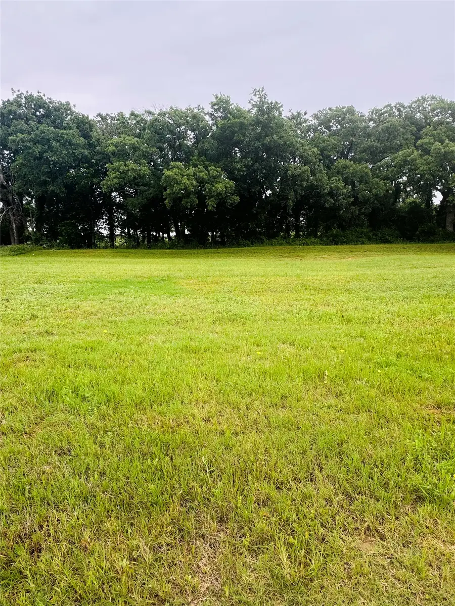 107 Kylie Street, Cleburne, TX 76031 - #3