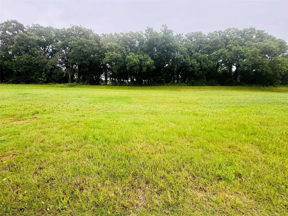 113 Kylie Street, Cleburne, TX 76031 - #1