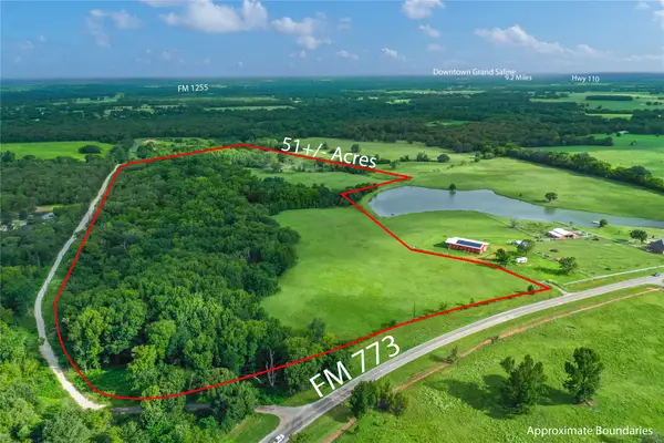 51.00 (+/-) Acres Fm 773, Grand Saline, TX 75140