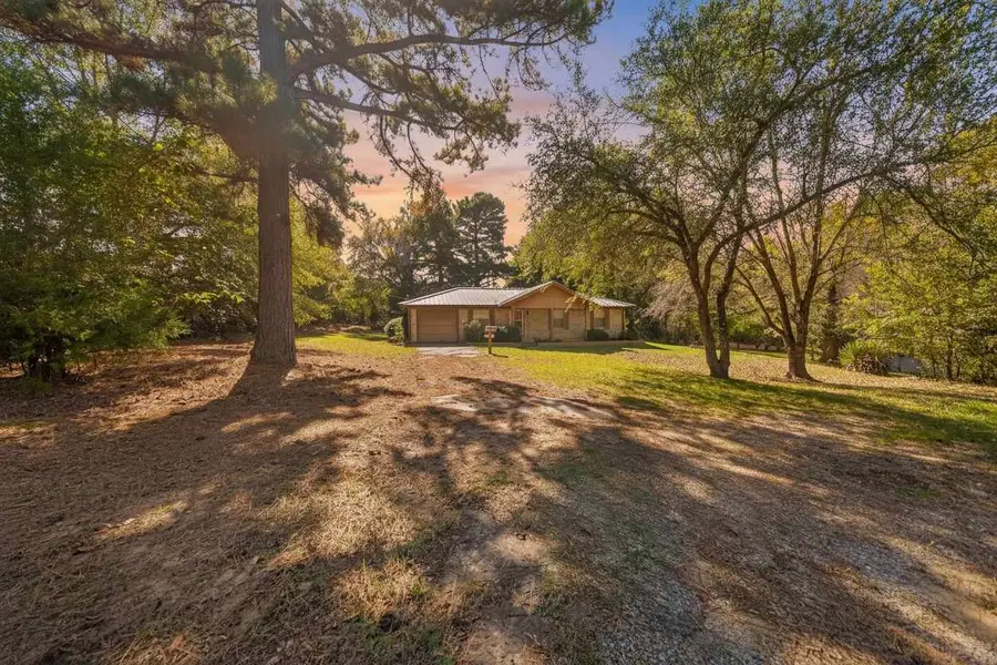 17092 Fm 317, Chandler, TX 75758 - #3
