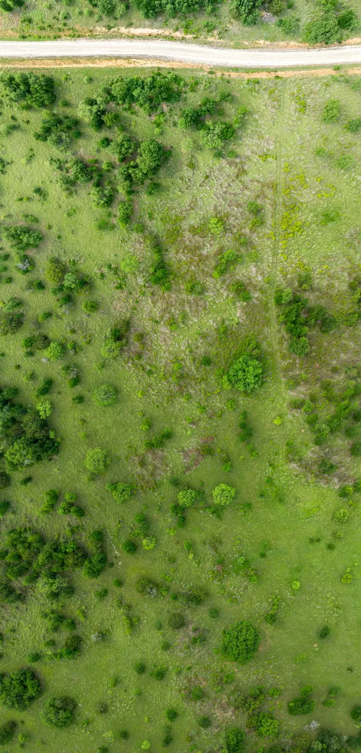 Lot 26 New Hope Road Road, Palo Pinto Santo, TX 76484 - #2