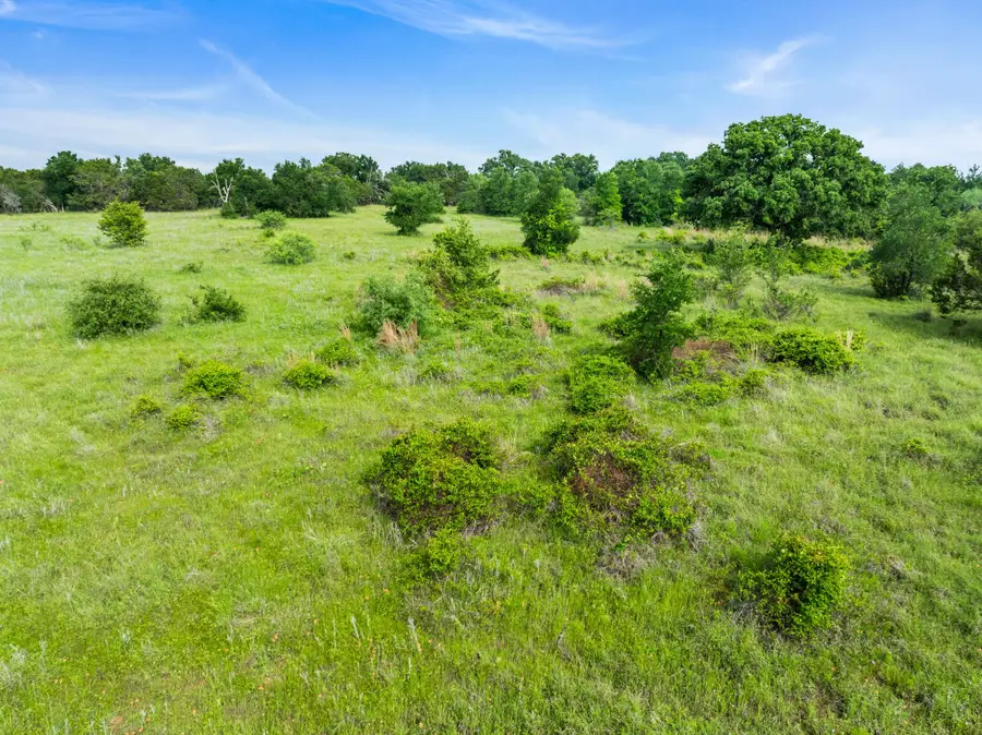 Lot 26 New Hope Road Road, Palo Pinto Santo, TX 76484 - #3