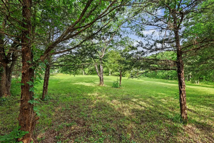 TBD Cherry Tree #398 Lane #398, Pottsboro, TX 75076 - #2