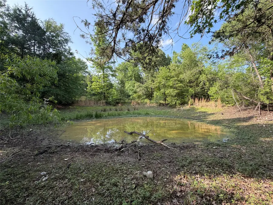 261 Vz County Road 4114, Canton, TX 75103 - #2