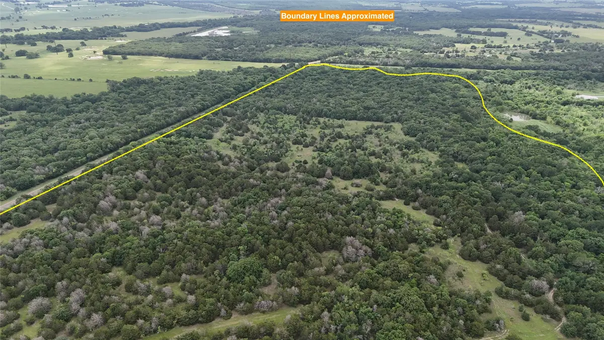 TBD 125 Acres Fm 642, Purdon, TX 76679 - #1