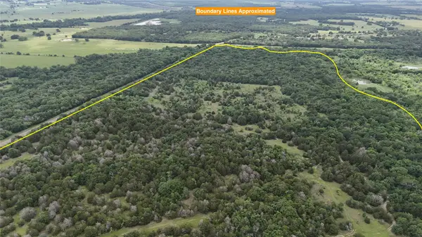 TBD 125 Acres Fm 642, Purdon, TX 76679