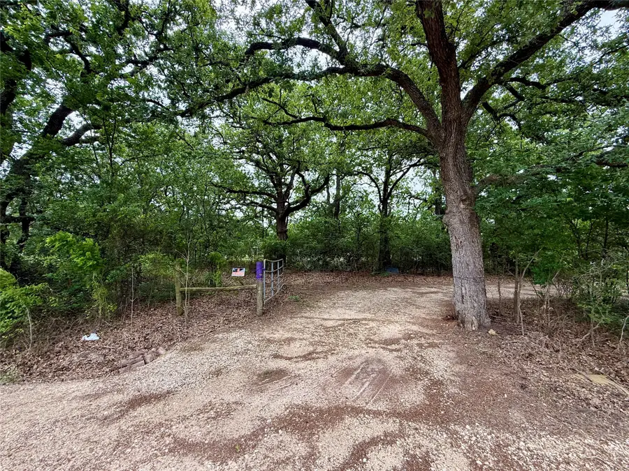 TBD 125 Acres Fm 642, Purdon, TX 76679 - #2