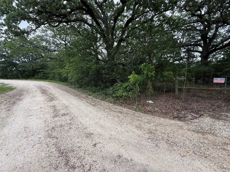 TBD 125 Acres Fm 642, Purdon, TX 76679 - #3