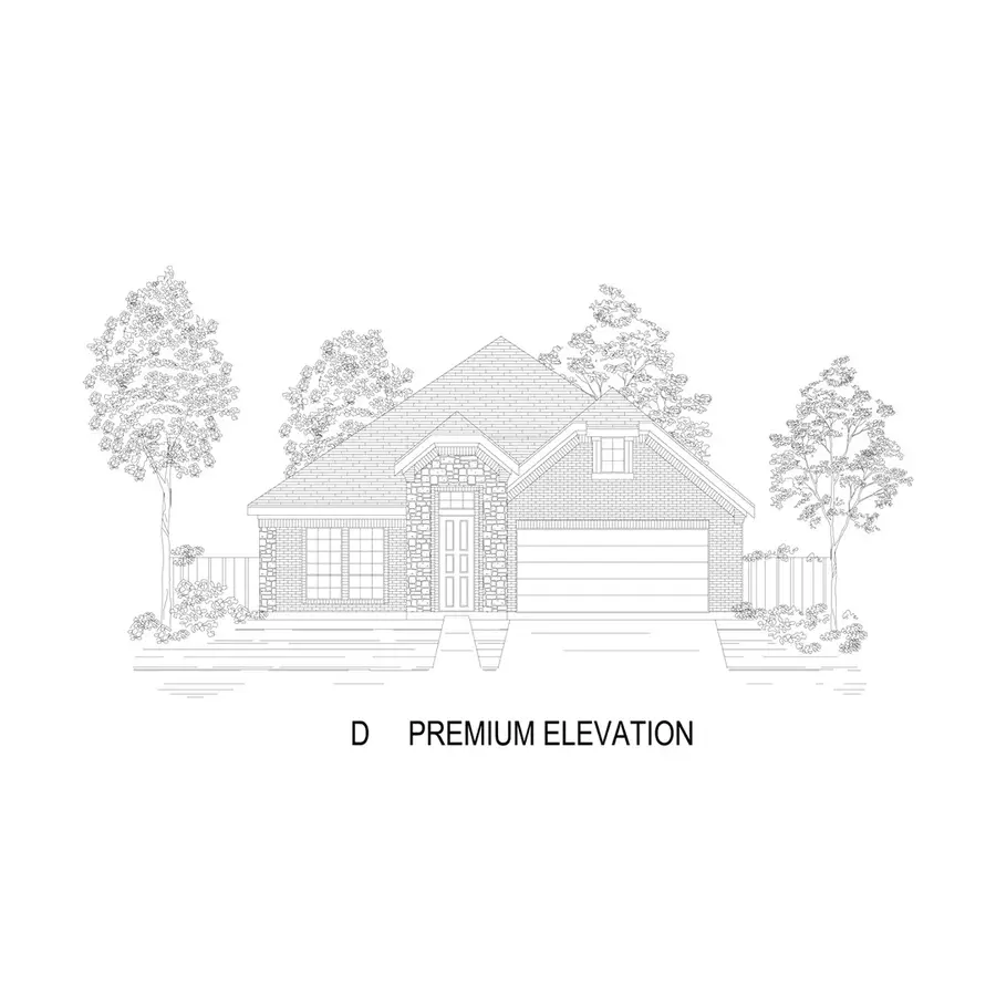 517 Bristle Pine Avenue, Little Elm, TX 75068 - #2