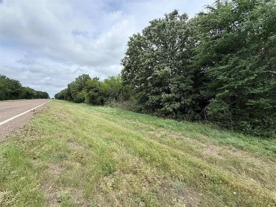 TBD 27 Acres Fm 642, Purdon, TX 76679 - #3