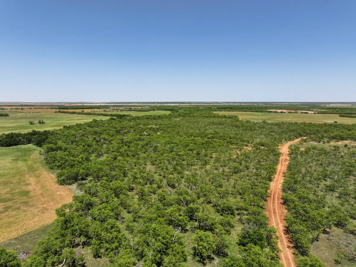 TBD Tract 6 Fm 1812, Hawley Noodle, TX 79525 - #1
