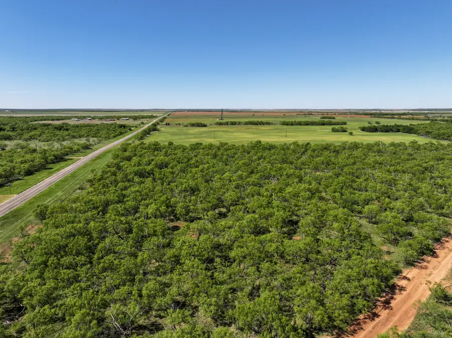 TBD Tract 6 Fm 1812, Hawley Noodle, TX 79525 - #3