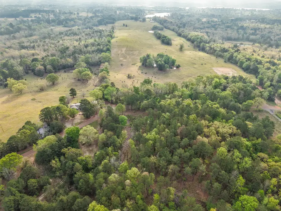 571 County Road, Daingerfield, TX 75638 - #3