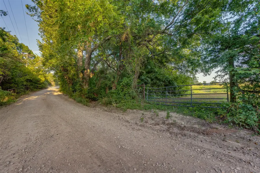 TBD Lot 3 County Road 4725, Leonard, TX 75452 - #2