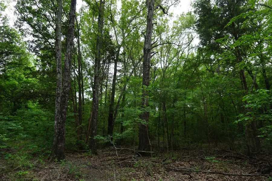 TBD County Road 1200, Malakoff, TX 75148 - #3