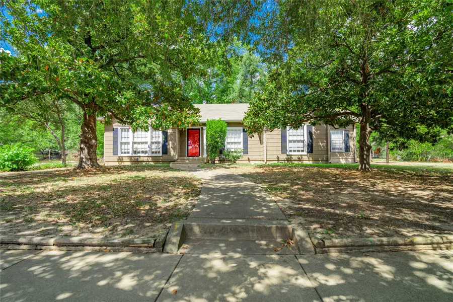 233 E James Street, Wills Point, TX 75169 - #2