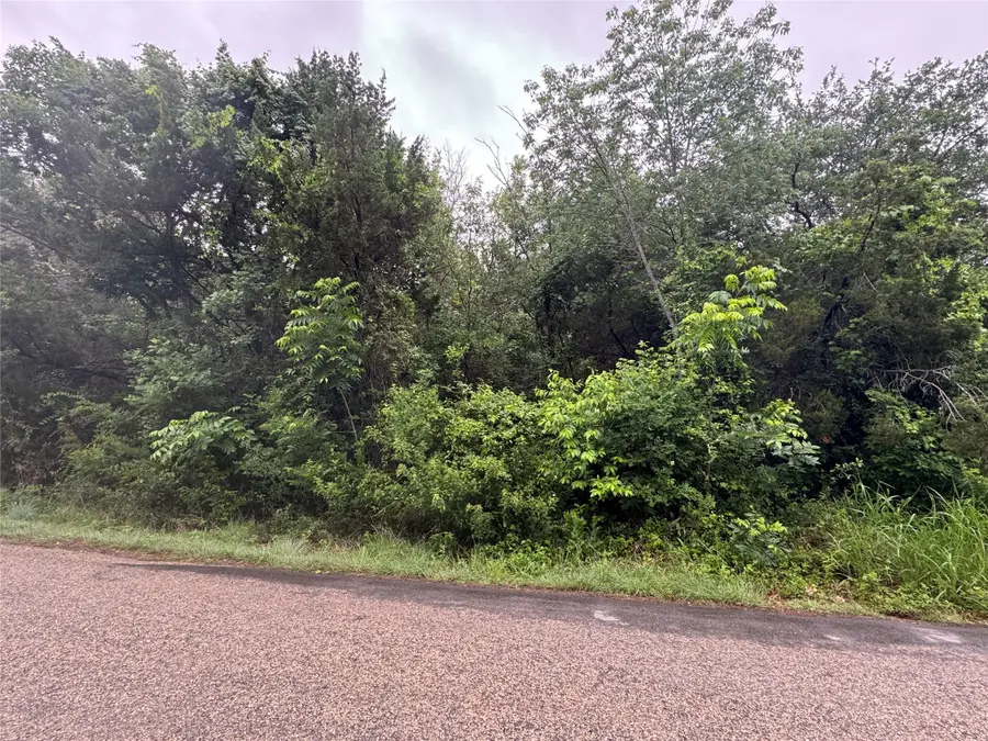 2815 E Briarwood Street, Granbury, TX 76048 - #2