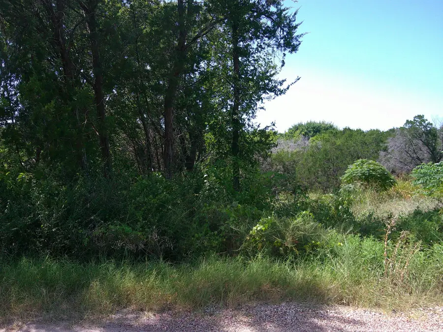 826 Tepee Trail, Granbury, TX 76048 - #3