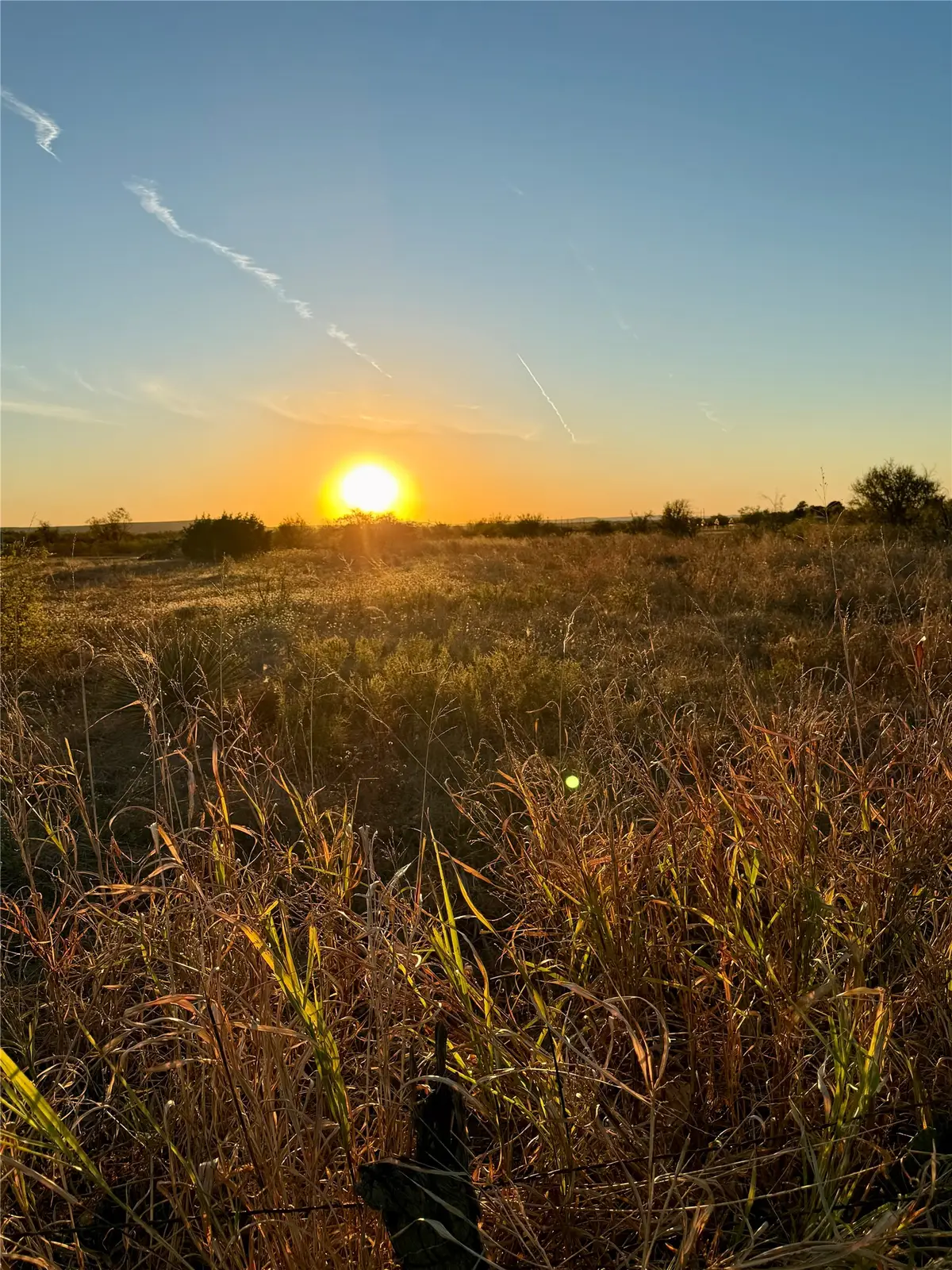 TBD E State Highway 36, Abilene, TX 79602 - #1