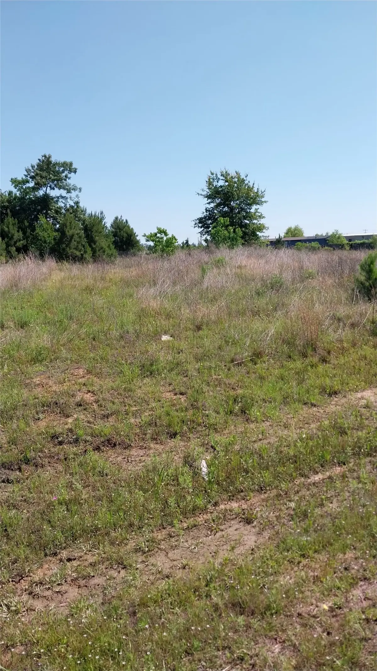 1715 Road 5729, Cleveland, TX 77327 - #1