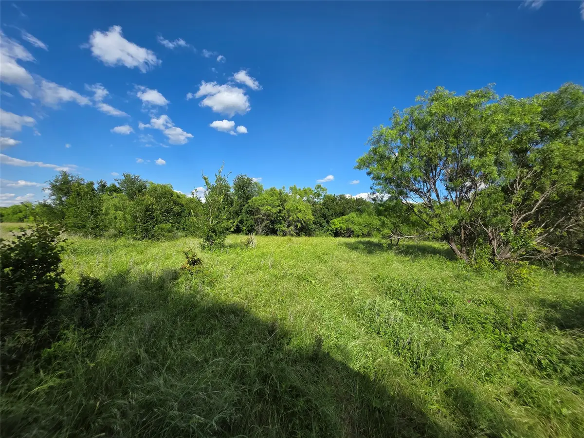3201 County Road 612, Bangs, TX 76823 - #1