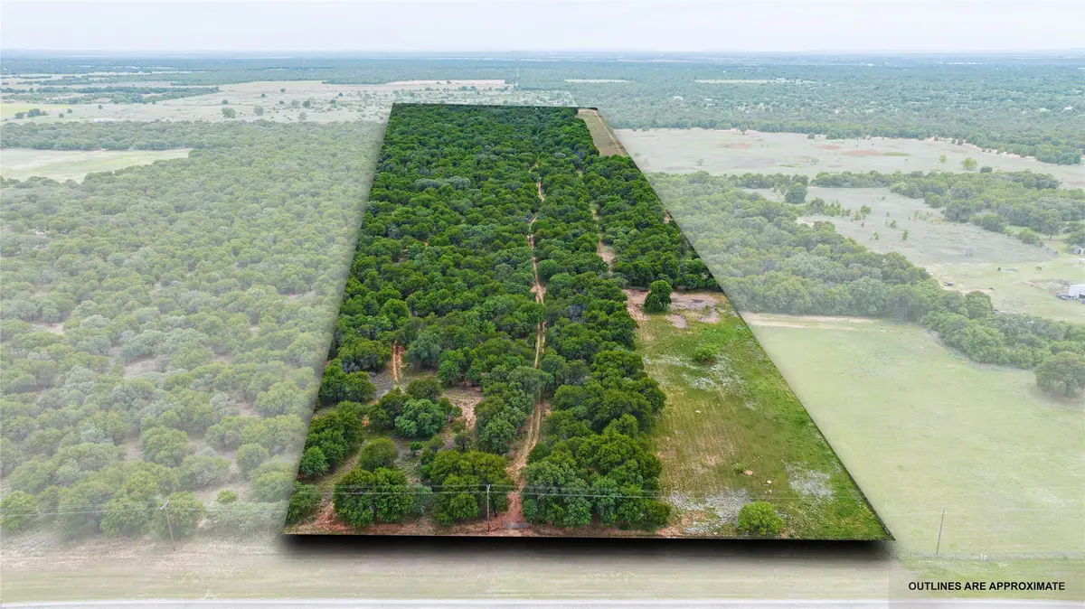 TBD Fm 3368, Hawley, TX 79525 - #1