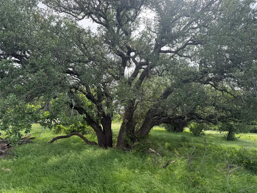 TBD Fm 2905, Hamilton, TX 76531 - #2