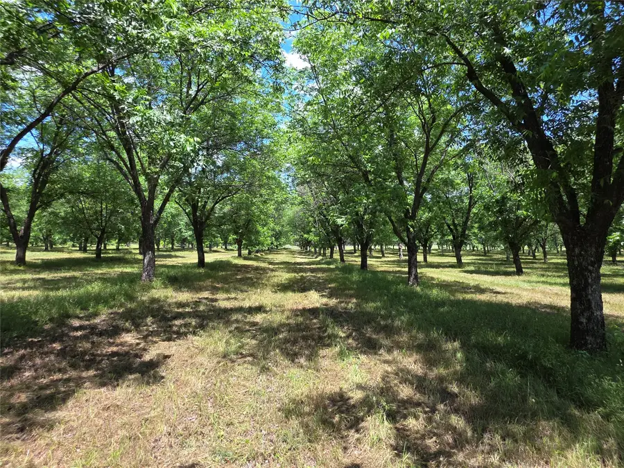 TBD Cr 446, De Leon, TX 76444 - #2