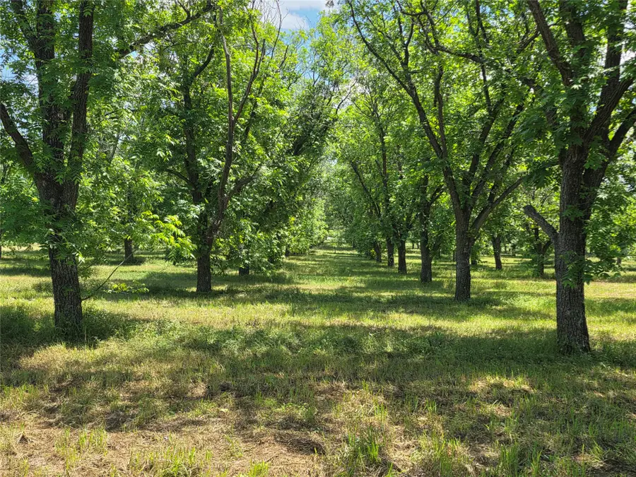TBD Cr 446, De Leon, TX 76444 - #3
