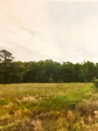 0 Whittington Cutoff Road, Benton, LA 71006