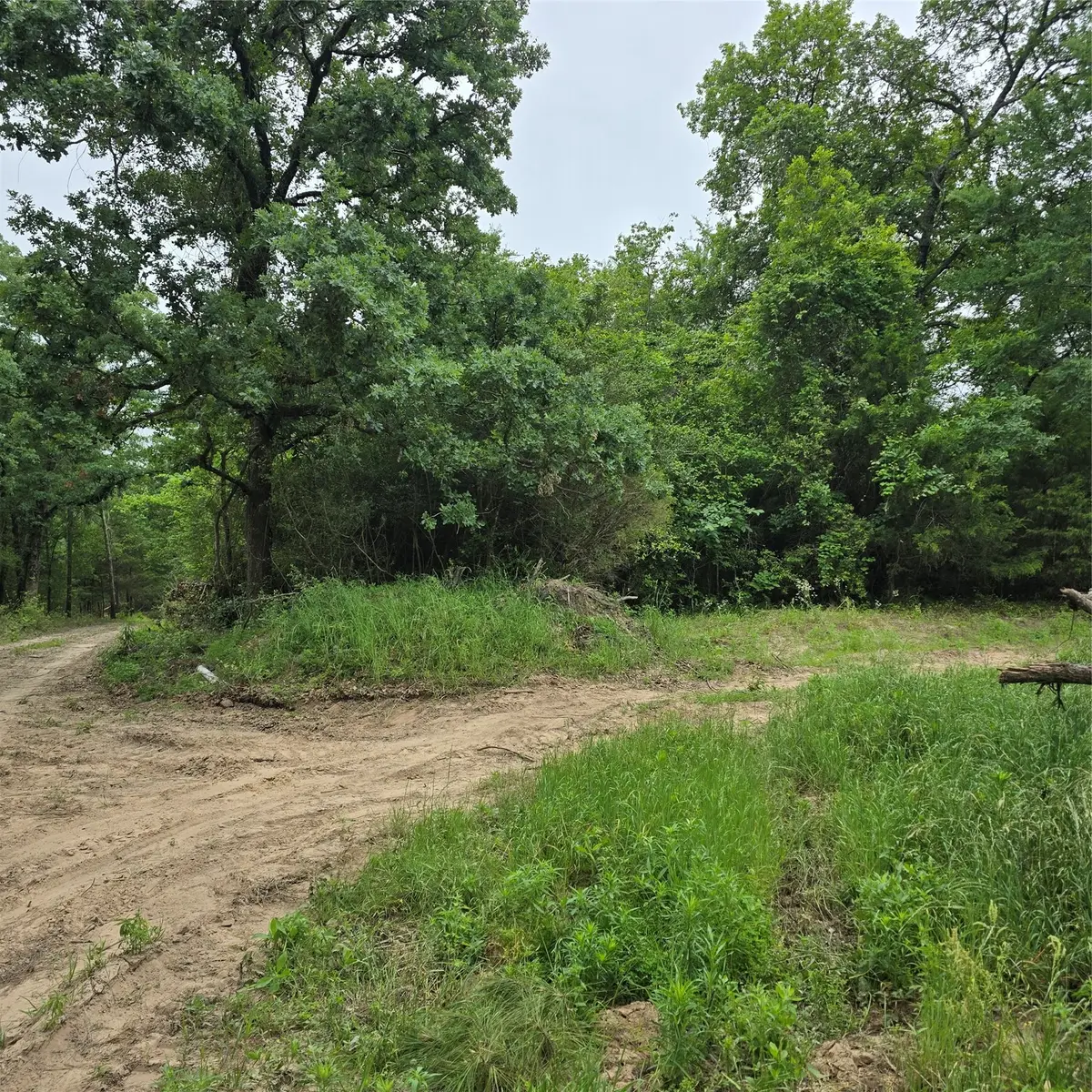 7360 County Road 2832, Mabank, TX 75156 - #1