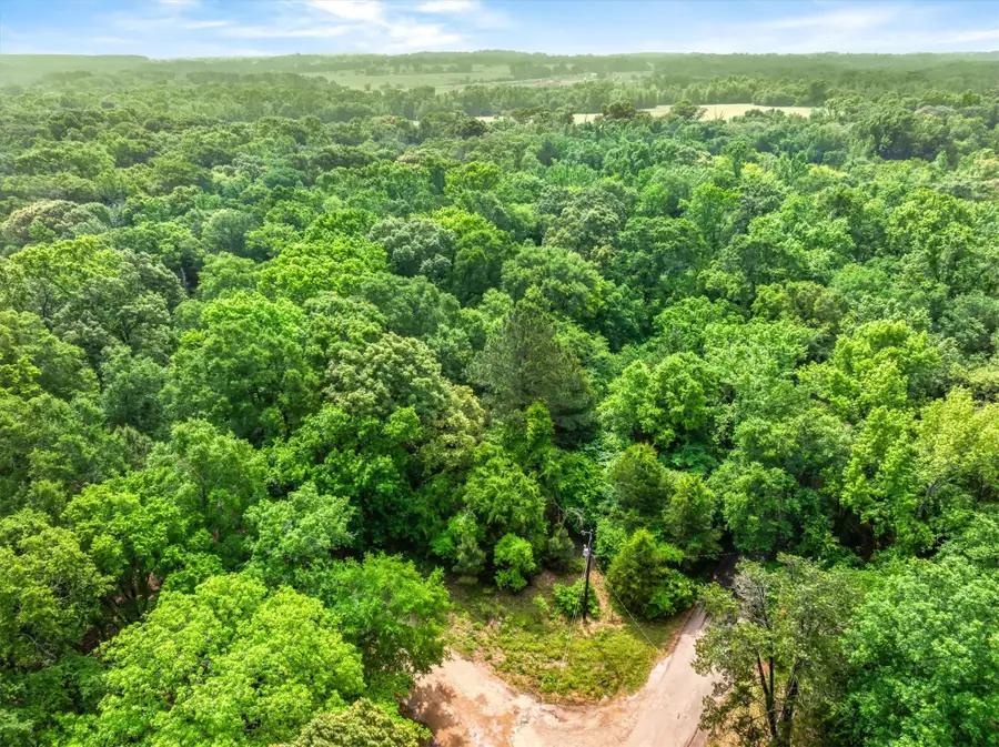 TBD Vz County Road 2205, Canton, TX 75103 - #3