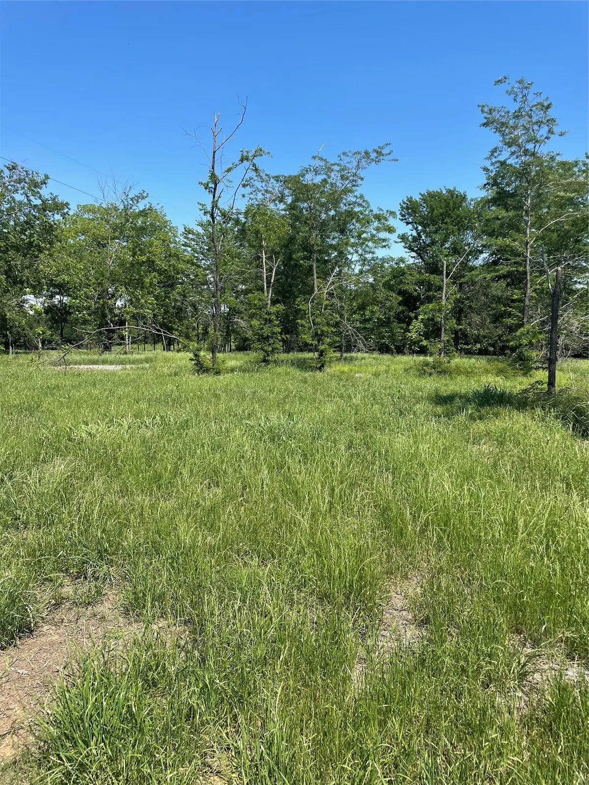 896 Blue Bird, Dodd City, TX 75438 - #1