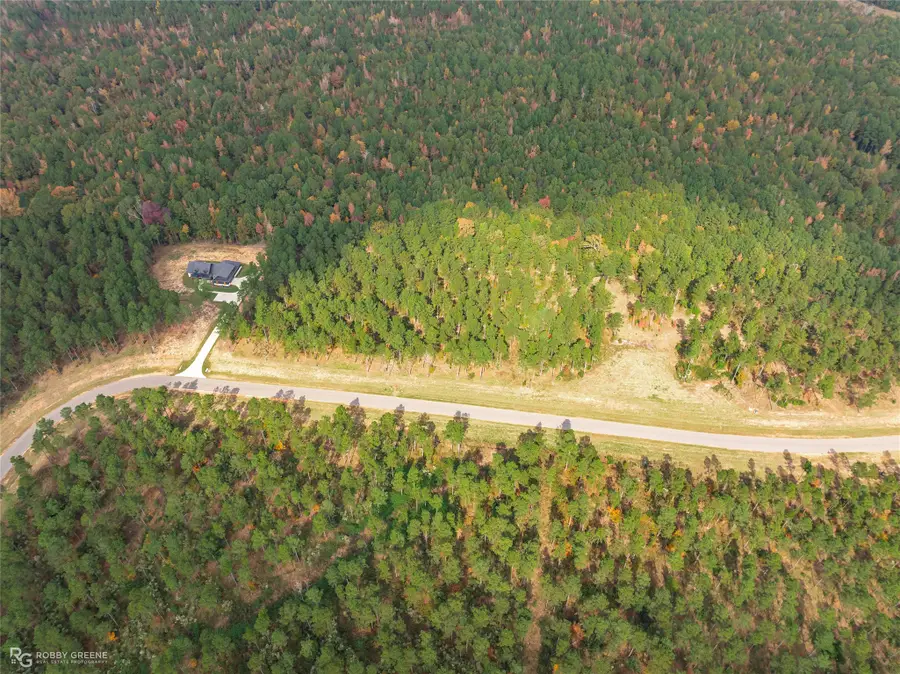 217 Millwood Loop #9, Minden, LA 71055 - #3