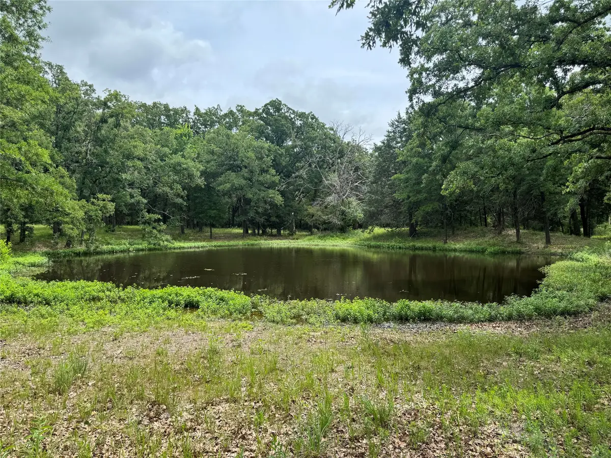 TBD Co Rd 4022, Kemp, TX 75143 - #1