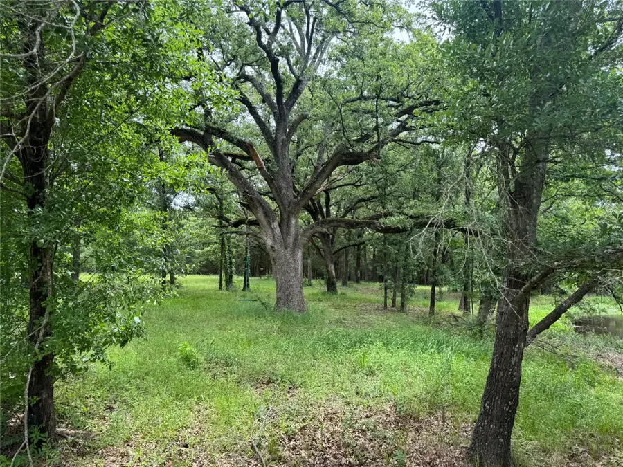 TBD Co Rd 4022, Kemp, TX 75143 - #2