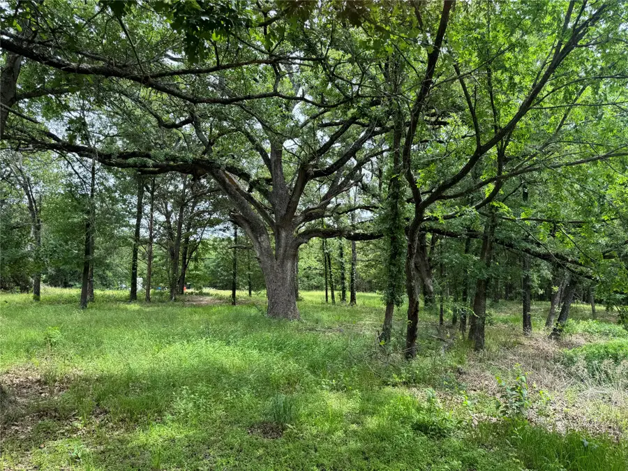 TBD Co Rd 4022, Kemp, TX 75143 - #3