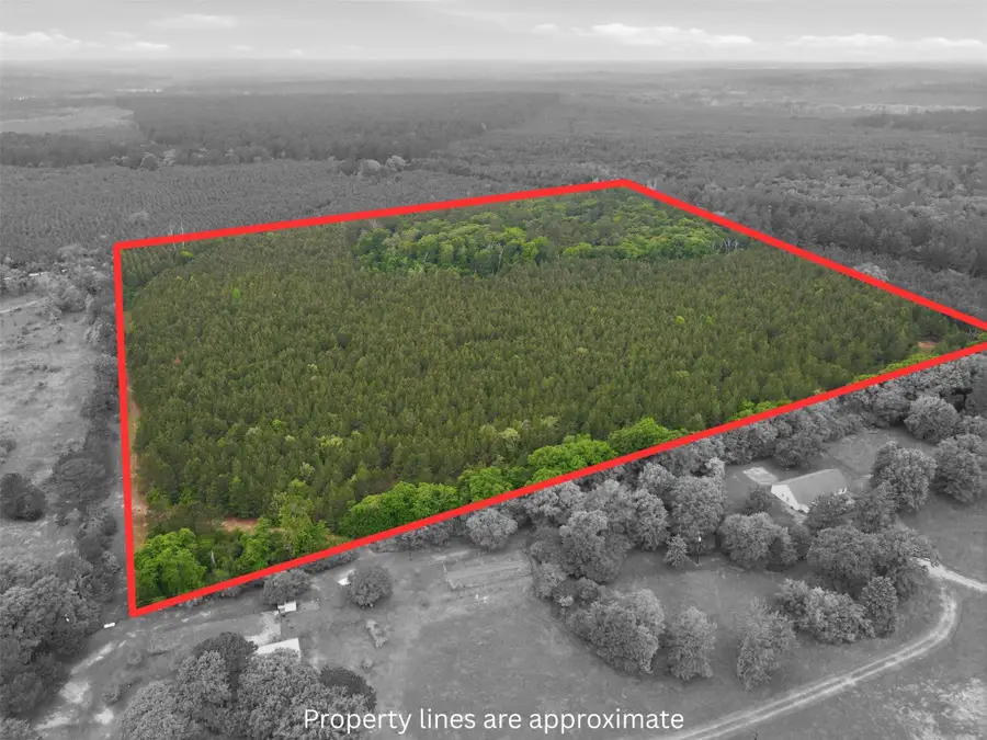 TBA County Road 3824, Hawkins, TX 75765 - #3