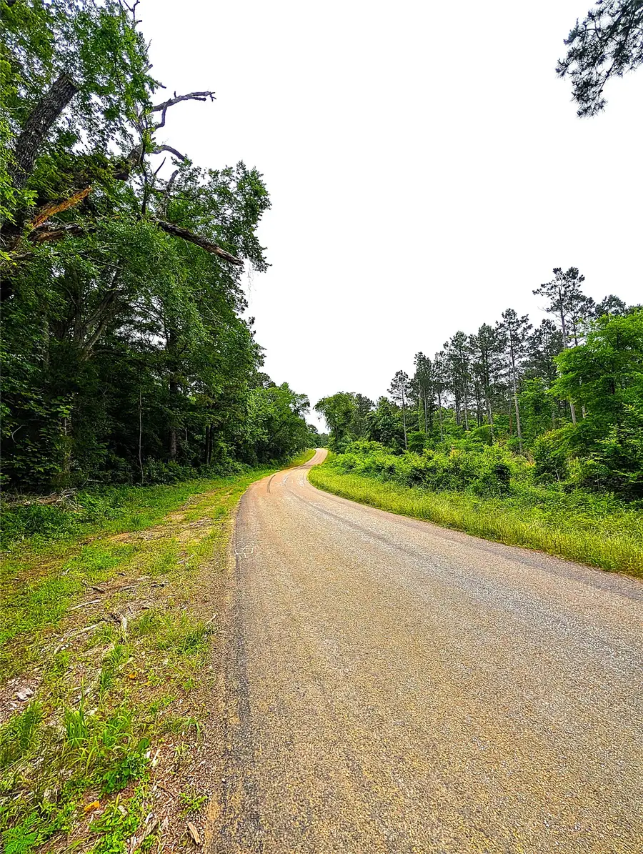 1931 County Road 4101, Jacksonville, TX 75766 - #3