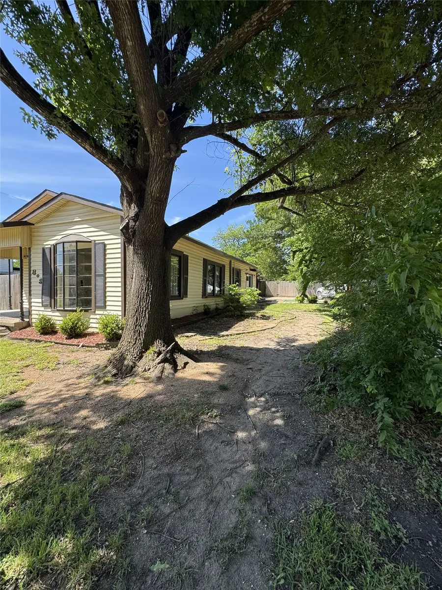 803 Ripley Street, Ennis, TX 75119 - #3