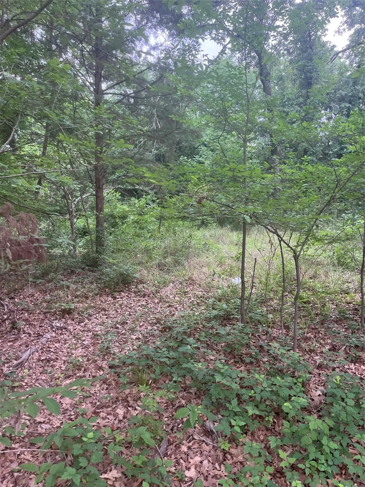 106 Red Bluff Loop, Mabank, TX 75156 - #1