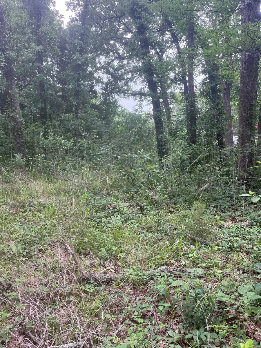 106 Red Bluff Loop, Mabank, TX 75156 - #2