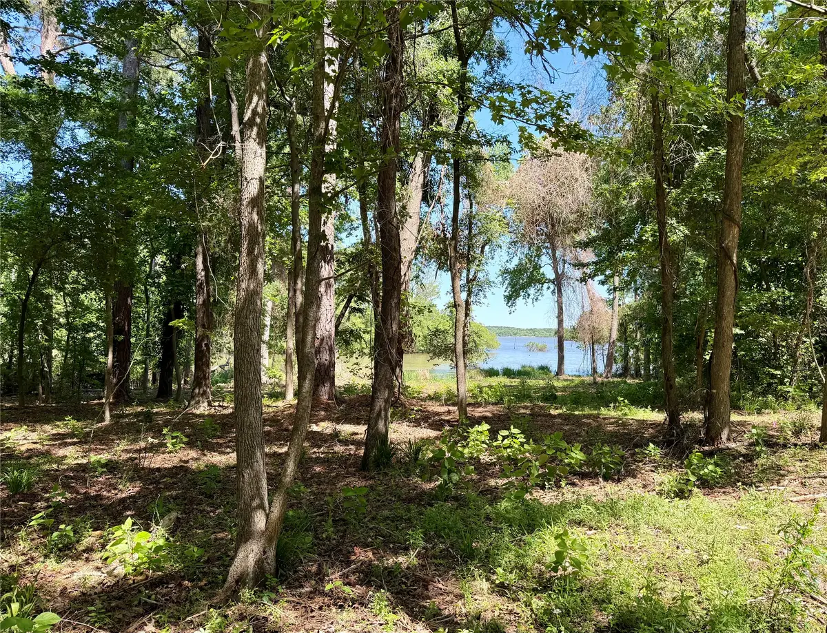 0000 County Road 3202, Chandler, TX 75758 - #1