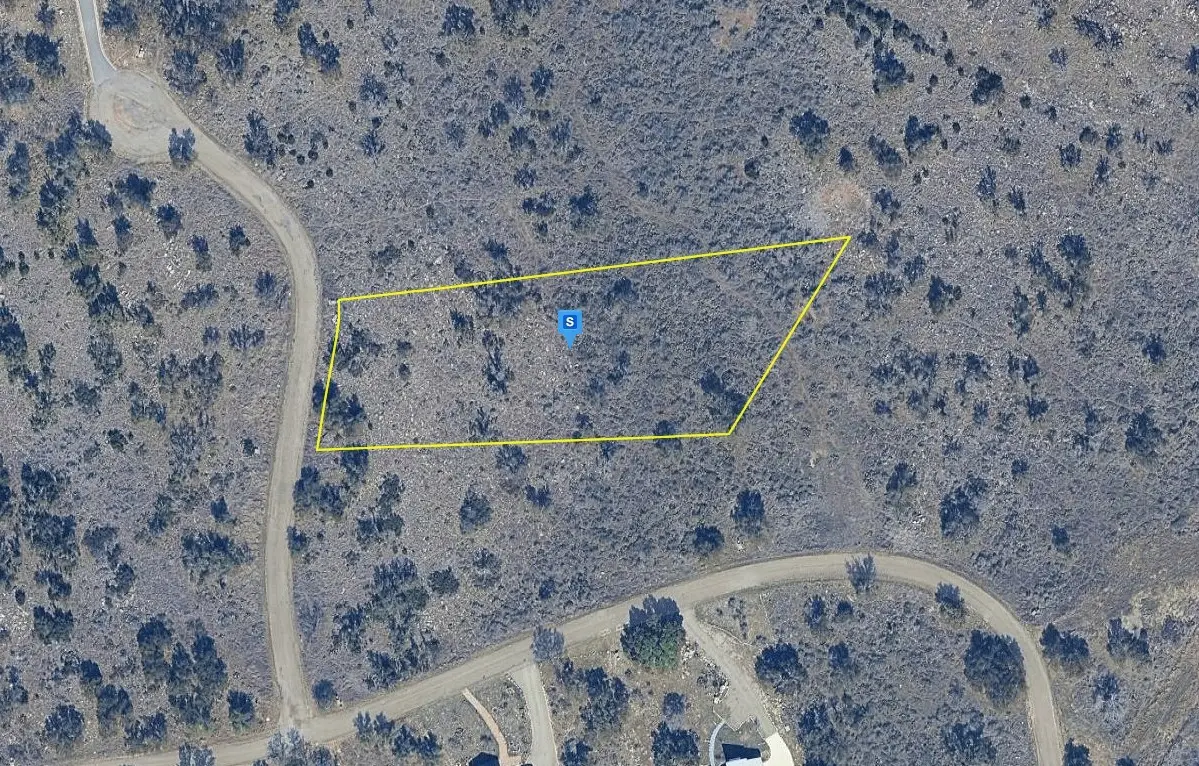 115 Eagle Feather, Kingsland, TX 78639 - #1