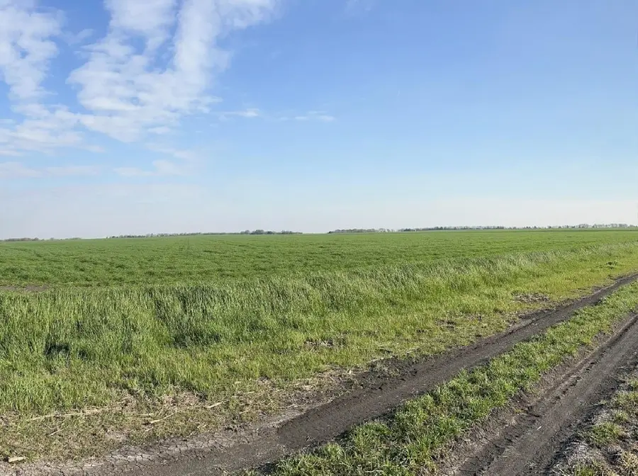 TBD Mustang Road, Waxahachie, TX 75165 - #2
